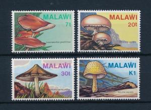 [50837] Malawi 1985 Mushrooms Pilze Champignons MNH