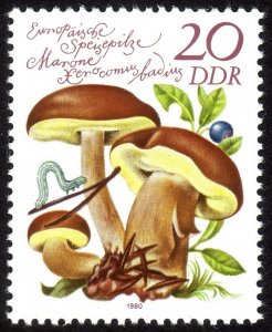 1980, Germany DDR, 20pfg, MNH, Sc 2140, Mi 2554