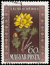 HUNGARY   #908 USED (3)