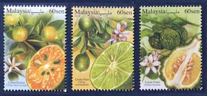 Malaysia 2019 Malaysian Citrus Set of 3V MNH