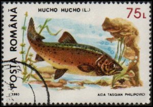 Romania 3832 - Cto - 75L Huchen (Danube Salmon) (1993)