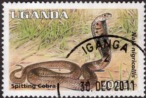 Uganda 1339 - Used - 2000sh Spitting Cobra (1995) (cv $9.00)