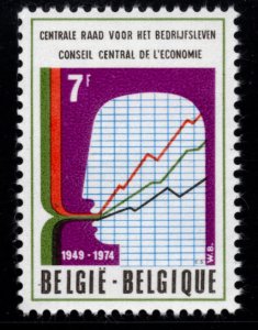 Belgium Scott 881 MNH** Economic Council 1974 stamp