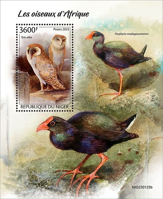 NIGER - 2023 - Birds of Africa - Perf Souv Sheet - Mint Never Hinged