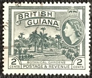 British Guiana #254 Used Single Botanical Gardens L39