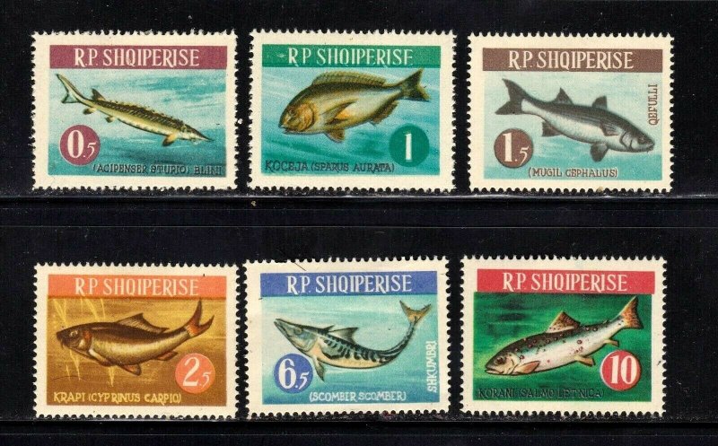 Albania stamps #716 - 721, MHOG, VVF, complete set, 1964, Topical, Fish 