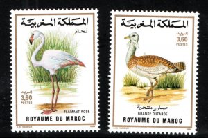 1988 - Morocco - Maroc- Birds of Morocco- Oiseaux du Maroc-Complete set 2v.MNH**