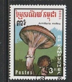 1989 Cambodia - Sc 972 - used VF - 1 single - Mushrooms