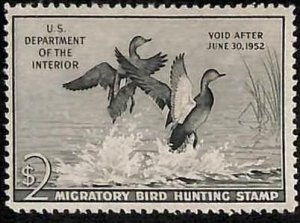 90217c - USA - STAMPS: SCOTT # RW18  1951  Migratory Bird Hunting Stamp MINT MNH