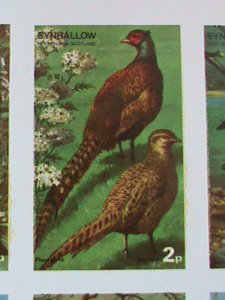 EYNHALLOW SCOTLAND STAMP -RARE BIRDS -IMPERF- MNH - MINI SHEET  NO GUM AS ISSUED