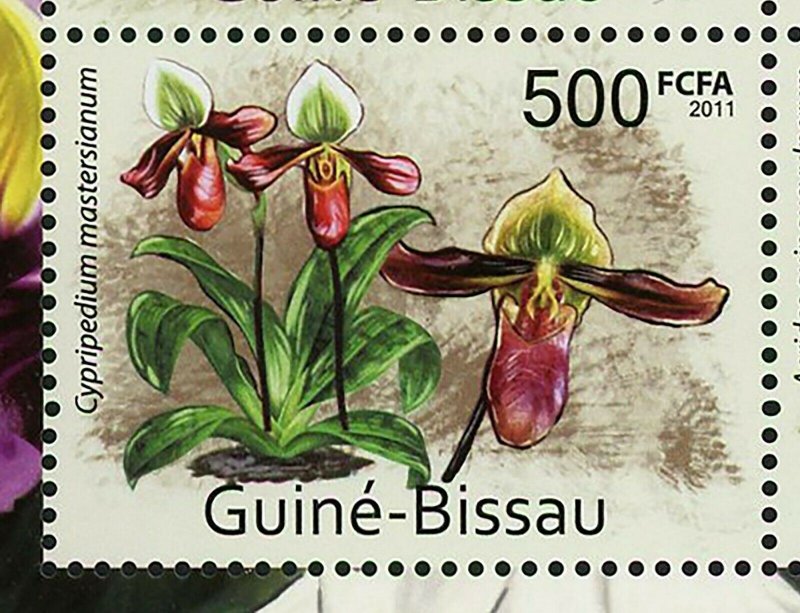 Orchids Stamp Cattleya Chocoensis Aerides Guinquevulnerum S/S MNH #5542-5545