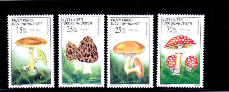 TURKISH REP. OF NO. CYPRUS #429-432  1997  MUSHROOMS   MINT  VF NH  O.G