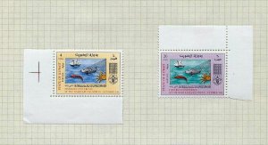 Palestine Iraq Kuwait M&U Collection(Appx 80 Items) (ME1-08