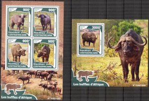 Central African Republic 2016 Animals Buffaloes Sheet + S/S MNH