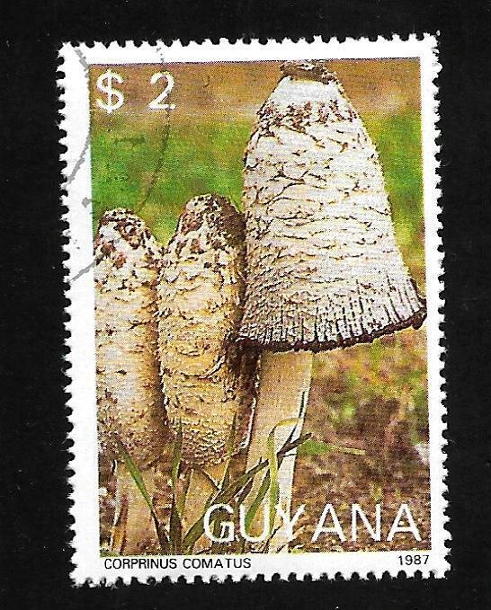 Guyana 1988 - CTO - Scott #1864A