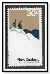 New Zealand #455 Mt Cook National Park MLH