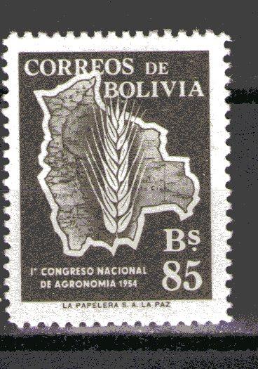 Bolivia 387 MLH