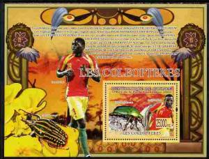 Guinea - Conakry 2009 Fauna - Beetles & Footballers p...