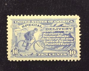 HS&C: Scott #E11 10c Special Delivery Jumbo margin stamp. A gem! Sup MNH