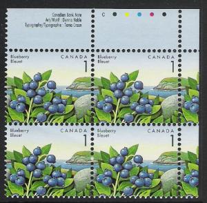 Canada PL BL Blueberry 1