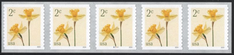 SC#5903 2¢ Daffodils Coil Plate Strip of Five: #B11111 (2024) SA