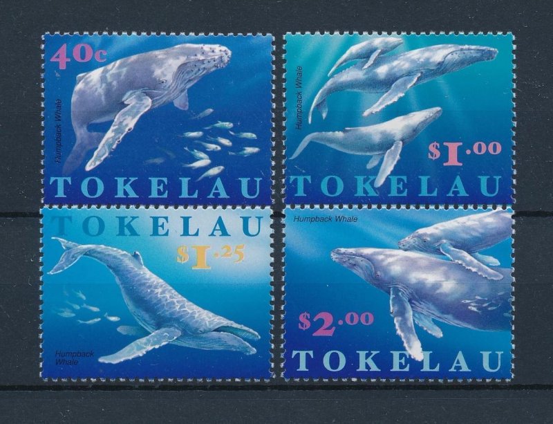 [48271] Tokelau 1997 Marine life humpback whales  MNH