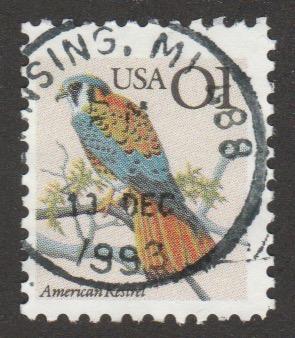 2476  American Kestral