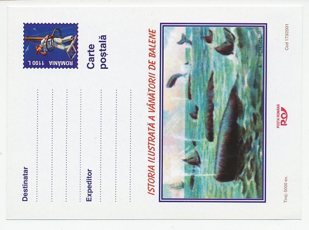 Postal stationery Romania 2001 Whaling - Whale