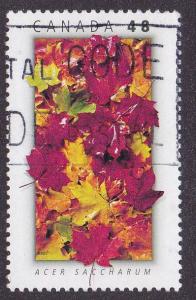 Acer Saccharum - Scott # 2000