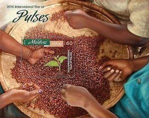 2016 Maldives. Year Of Pulses. Michel Code: 6478/Bl.966. Scott Code: 3737