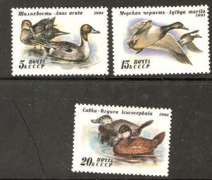 RUSSIA SG6264/6 1991 DUCKS MNH