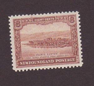 Newfoundland 151 VF MNH