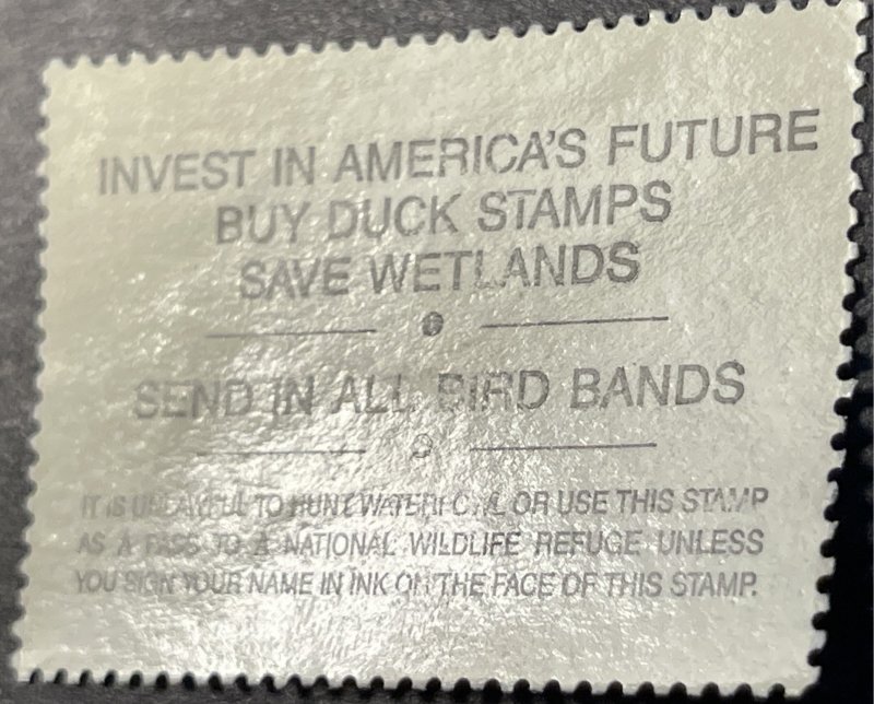 U.S.# RW62-MINT/NEVER HINGED---FEDERAL DUCK STAMP-SINGLE---1995