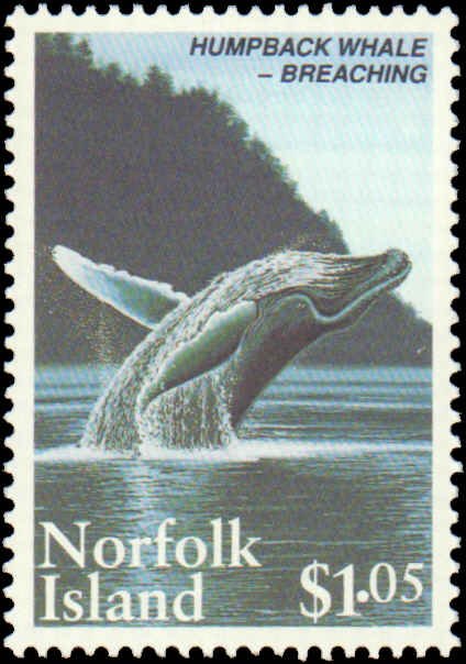 Norfolk Islands #573-575, Complete Set(3), 1995, Whales, Never Hinged