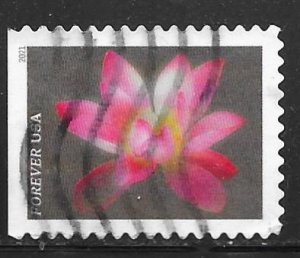 USA 5564: Pink Sacred Lotus, off paper, used, VF