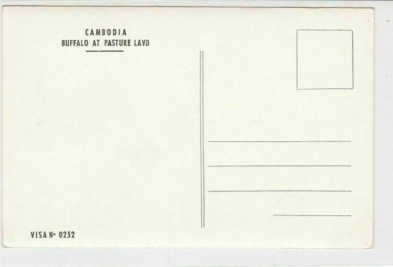 Cambodia Buffalo at Pasture Land UNUSED Stamps Card ref R 18991