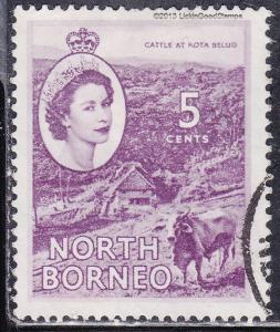 North Borneo 265  Cattle At Kota Belud 1954