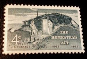 Scott #1198 Homestead Act Centennial, MINT, VF, NH