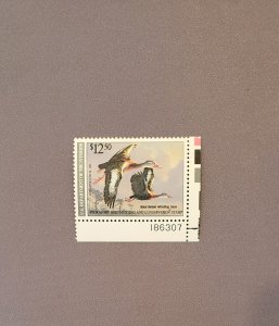 RW57, Black-Billed Duck, Mint OGNH, W/Plate#, CV $55.00