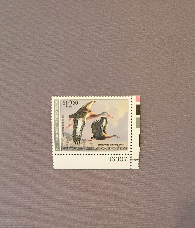 RW57, Black-Billed Duck, Mint OGNH, W/Plate#, CV $55.00