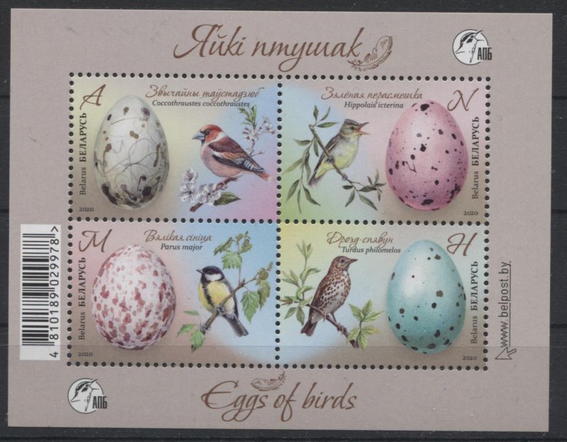 2020 Belarus B Fauna. Bird eggs. Songbirds
