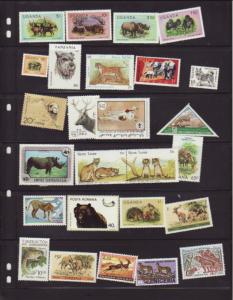 Lot of all different Mammals MNH