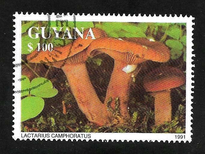 Guyana 1991 - CTO - Scott #2466