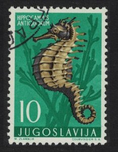 Yugoslavia Short-snouted Sea Horse Fish 1956 Canc SC#452 SG#825 MI#795