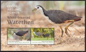 COCOS (KEELING) ISLANDS 2023 BIRDS WATERHEN OISEAUX VOGEL UCCELLO AVES