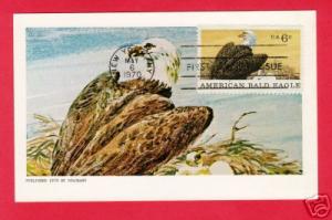 #1387 American Bald Eagle - COLORANO MAXICARD