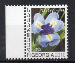 GEORGIA - 2010 - FLOWERS - IRIS -