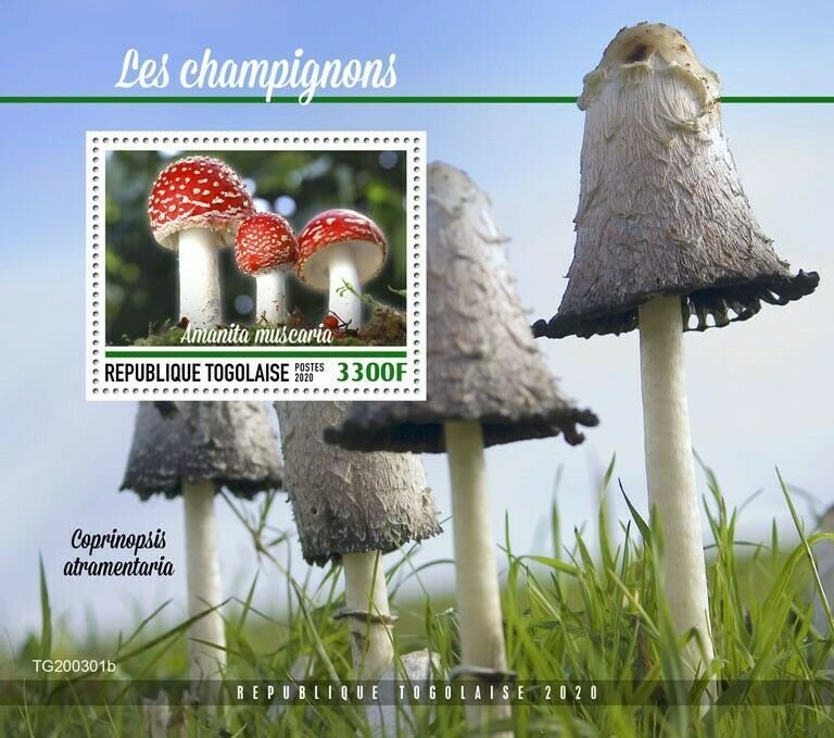 2020/10- TOGO - MUSHROOMS       1V    MNH ** 