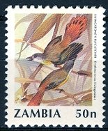 Zambia 1990/91; Sc. # 531; **/MNH Single Stamp