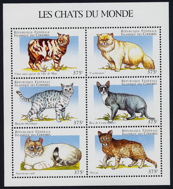 Comoro Islands 824 MNH Cats